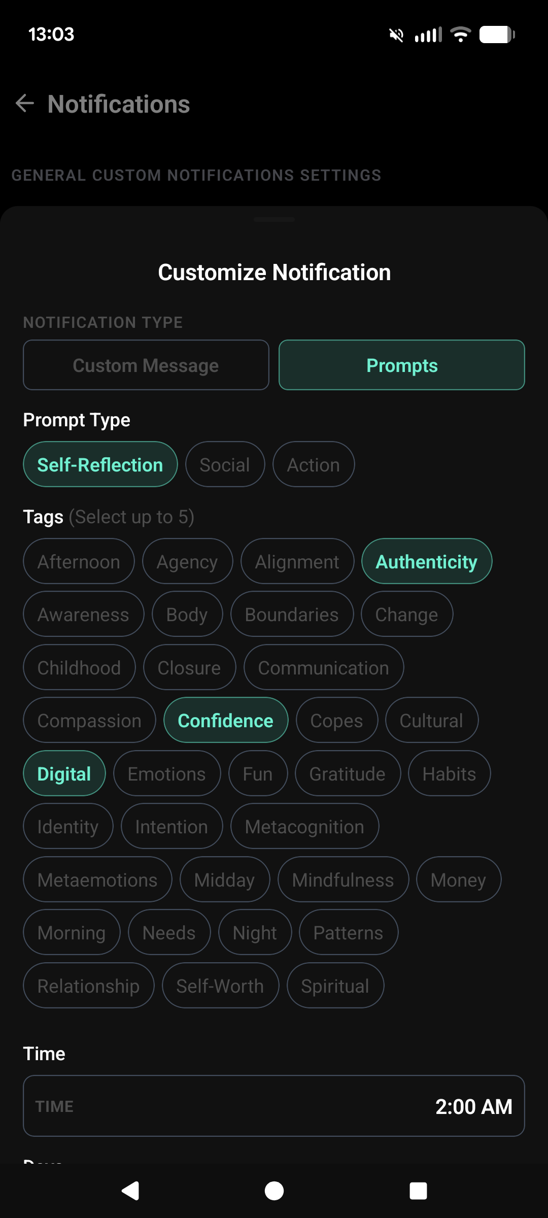 Prompts settings in Mindwell